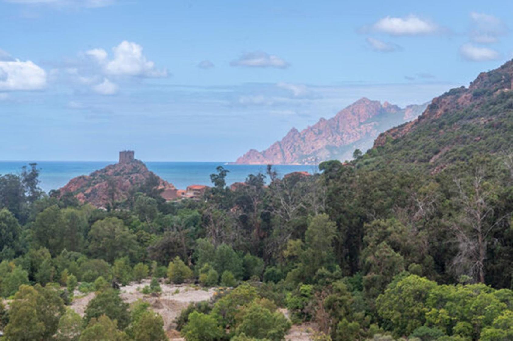 Ideal Porto (Corsica)